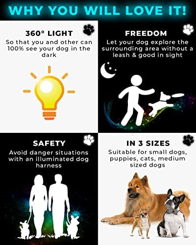 משטח מלא 360 מעלות רתמת כלבים LED מוארת ברצועה | פותח לכלבים קטנים וגורים | ניתן להשיג בשלושה גדלים - S/M/L | טעינה קלה